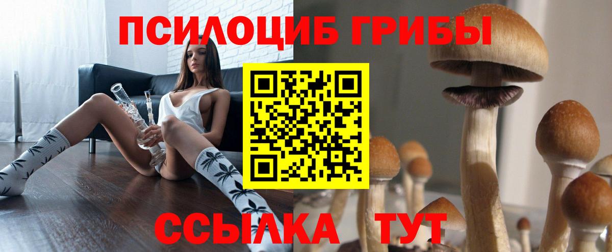 Галлюциногенные грибы GOLDEN TEACHER Рязань